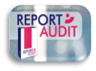 Aplicativo para reporte de auditoría